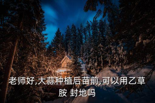 老師好,大蒜種植后苗前,可以用乙草胺 封地嗎