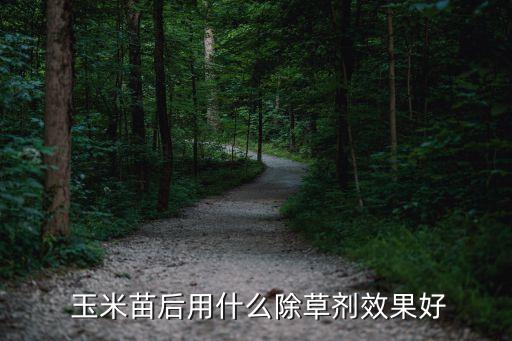  玉米苗后用什么除草劑效果好