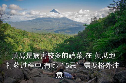 黃瓜噴農藥什么時候打,黃瓜什么時候噴醋是最佳時間