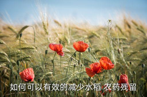 如何可以有效的減少水稻 農(nóng)藥殘留