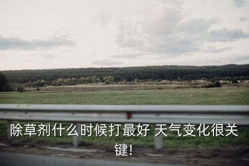 菜地什么天氣打農(nóng)藥,菜地有蝸牛用什么農(nóng)藥