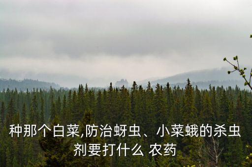 種那個白菜,防治蚜蟲、小菜蛾的殺蟲劑要打什么 農藥