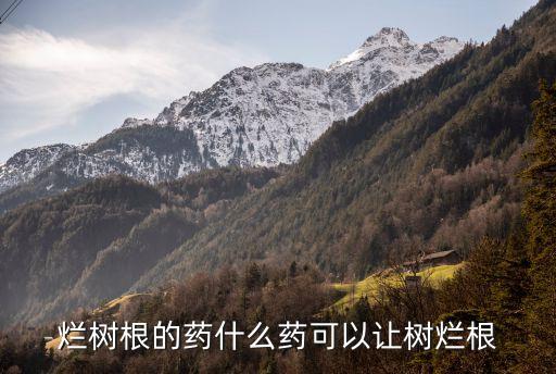 辣根用什么農(nóng)藥最好,辣根跟什么吃最好吃