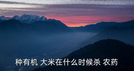種大米用什么農藥好使呢,大米有農藥味什么原因