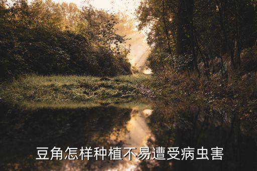  豆角怎樣種植不易遭受病蟲害