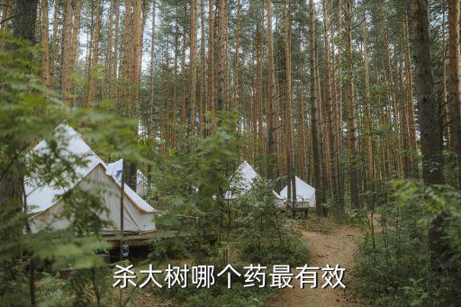什么花農藥少毒死樹根,什么農藥可以快速毒死人