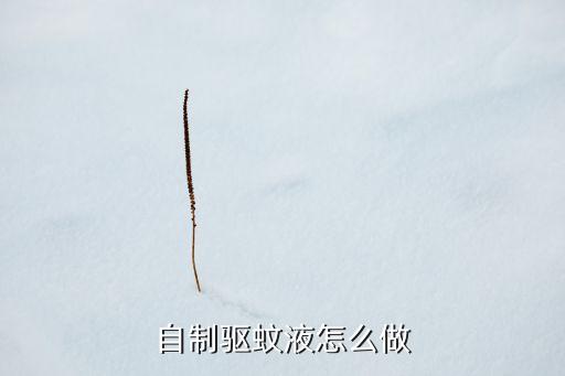 自制驅蚊液怎么做