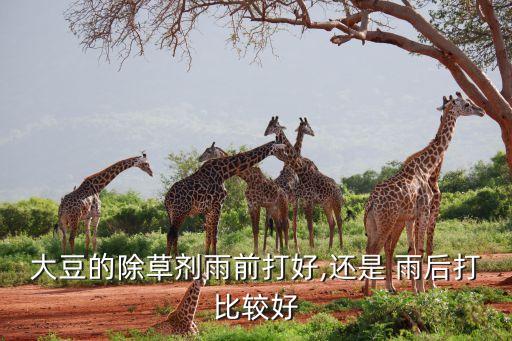 雨后用什么農(nóng)藥,農(nóng)藥是下雨前打好還是雨后好