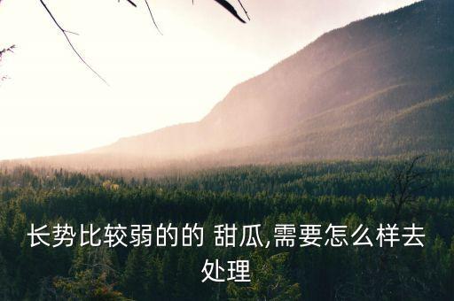 甜瓜苗不愛長打什么農藥好