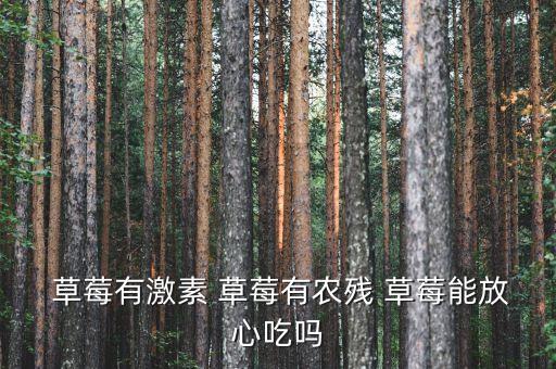  草莓有激素 草莓有農殘 草莓能放心吃嗎