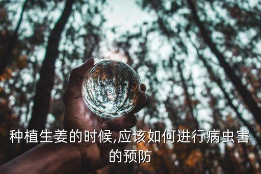 種姜用什么農(nóng)藥,種土豆用什么農(nóng)藥最好