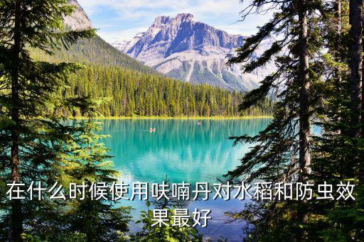 在什么時(shí)候使用呋喃丹對(duì)水稻和防蟲(chóng)效果最好