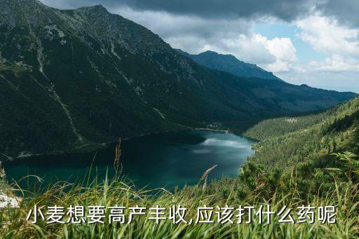  小麥想要高產豐收,應該打什么藥呢