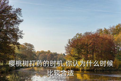 櫻桃開(kāi)花了打什么農(nóng)藥