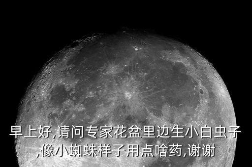 早上好,請問專家花盆里邊生小白蟲子,像小蜘蛛樣子用點啥藥,謝謝