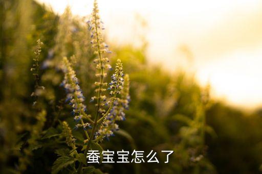 什么農藥蠶吃了不吐絲