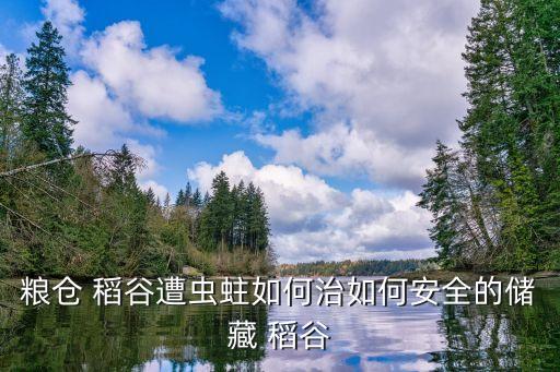稻谷火煙包用什么農藥預防