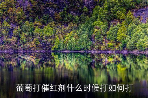  葡萄打催紅劑什么時候打如何打