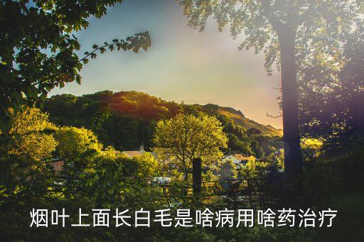  煙葉上面長白毛是啥病用啥藥治療