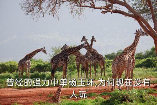 曾經(jīng)的強(qiáng)力中單楊玉環(huán),為何現(xiàn)在沒(méi)有人玩