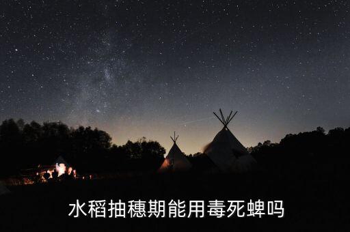  水稻抽穗期能用毒死蜱嗎