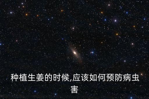 種植姜用什么封閉農藥,種植馬鈴薯要用什么農藥