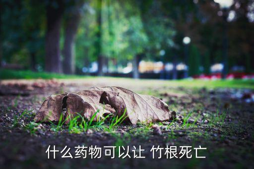 什么可以使竹根腐爛根除?,腐爛竹根的用什么農藥