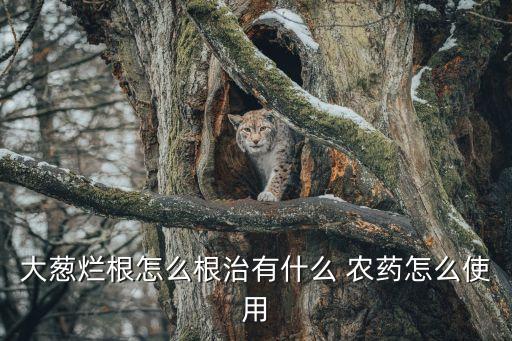什么農(nóng)藥可以打死蔥,燕麥用什么農(nóng)藥能打死