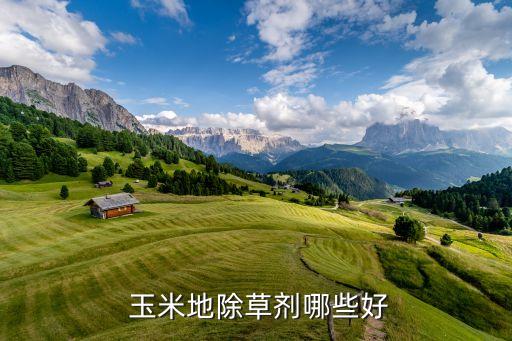 玉米治什么農藥,什么農藥能殺死玉米苗