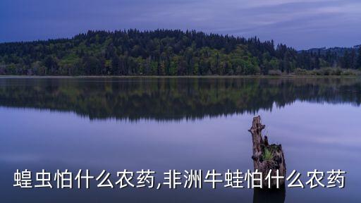 非洲蝗蟲怕什么農藥,非洲牛蛙怕什么農藥