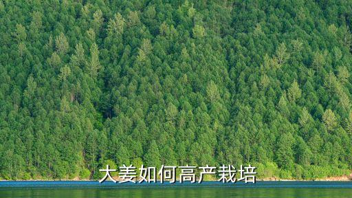  大姜如何高產(chǎn)栽培