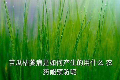 苦瓜需打什么農藥,苦瓜打什么農藥拉直拉長