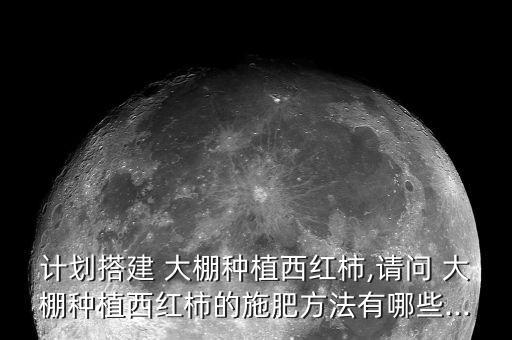 大棚番茄用什么農(nóng)藥,番茄打什么農(nóng)藥