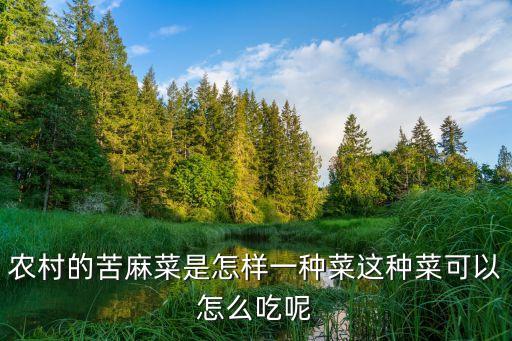 苦苦菜用什么農藥,喝苦苦菜水什么效果