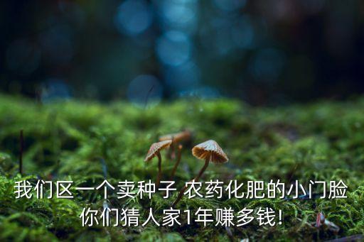我們區一個賣種子 農藥化肥的小門臉你們猜人家1年賺多錢!