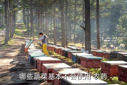 什么樣的青菜 農(nóng)藥少,青菜不打農(nóng)藥用什么防治