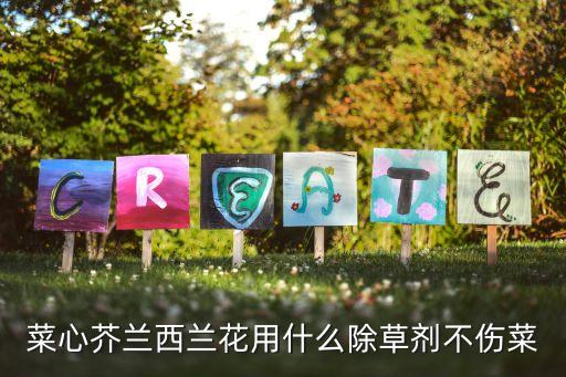 噴菜心用什么農(nóng)藥,菜心噴什么藥可長(zhǎng)得快