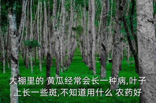 黃瓜買什么農藥,黃瓜打了農藥多久可以吃