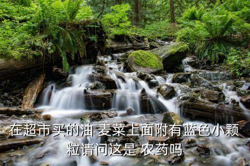 在超市買的油 麥菜上面附有藍(lán)色小顆粒請(qǐng)問(wèn)這是 農(nóng)藥嗎