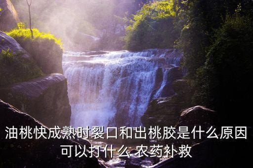 油桃樹(shù)用什么農(nóng)藥,桃樹(shù)油怎么處理