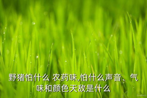 動物用什么農藥,農藥污染對動物的危害