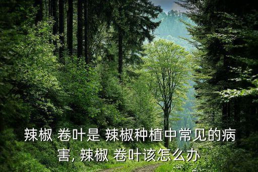  辣椒 卷葉是 辣椒種植中常見的病害, 辣椒 卷葉該怎么辦