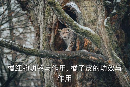 橘子紅農藥有什么作用,橘子開花打什么農藥
