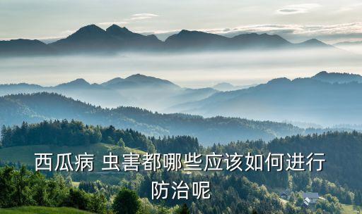 西瓜蟲害用什么農(nóng)藥能防治