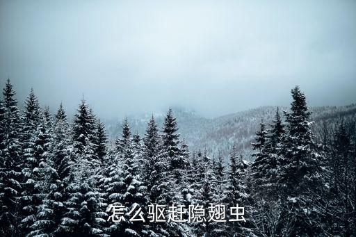 防治奴翅目用什么農藥,纓翅目用什么農藥防治