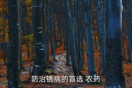 防治銹病的首選 農(nóng)藥