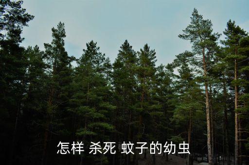 什么農(nóng)藥能殺死蚊子卵,水里加什么可以殺死蚊子