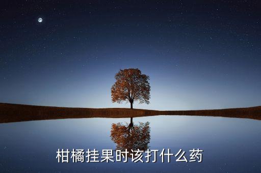 柑橘掛果時(shí)該打什么藥
