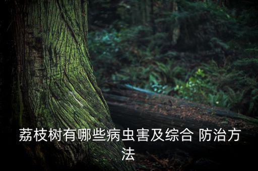 荔枝帝蛀蟲用什么農藥防治,荔枝蒂蛀蟲專用農藥
