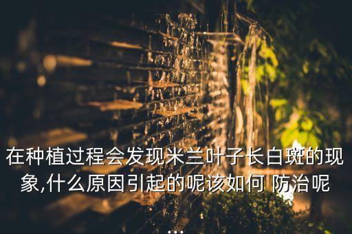 澡斑病用什么農(nóng)藥防治